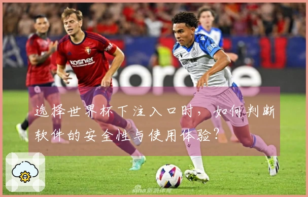 选择世界杯下注入口时，如何判断软件的安全性与使用体验？