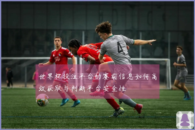 世界杯投注平台的赛前信息如何高效获取与判断平台安全性