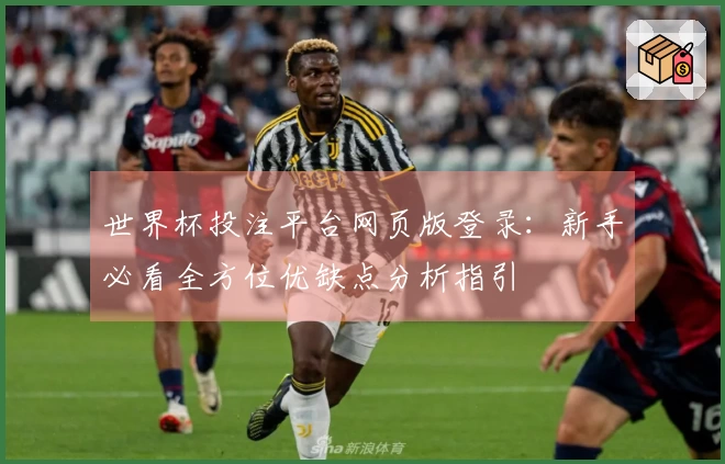 世界杯投注平台网页版登录：新手必看全方位优缺点分析指引