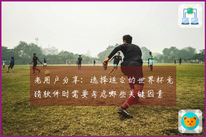 老用户分享：选择适合的世界杯竞猜软件时需要考虑哪些关键因素