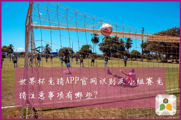 世界杯竞猜APP官网识别及小组赛竞猜注意事项有哪些？