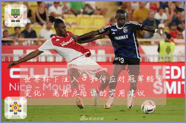 世界杯下注入口如何应对冠军赔率变化，老用户给你的实用建议