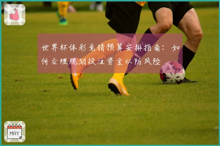 世界杯体彩竞猜预算安排指南：如何合理规划投注资金以防风险