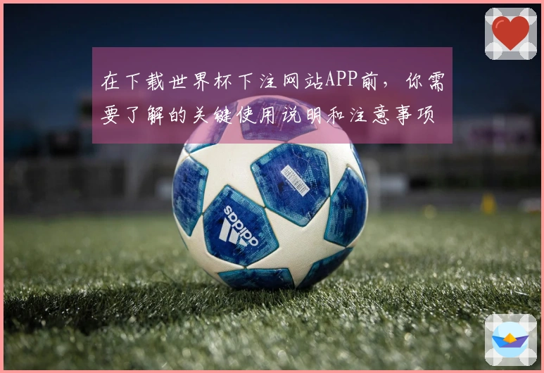 在下载世界杯下注网站APP前，你需要了解的关键使用说明和注意事项