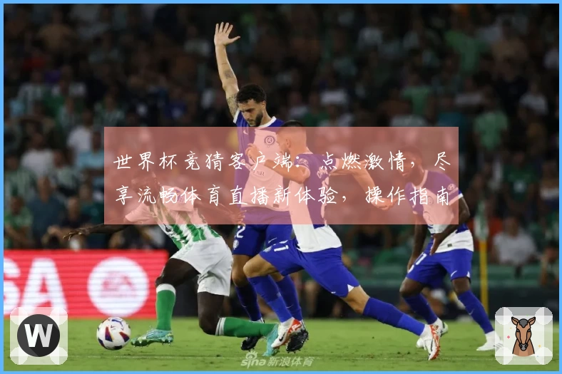 世界杯竞猜客户端：点燃激情，尽享流畅体育直播新体验，操作指南与最新功能速览