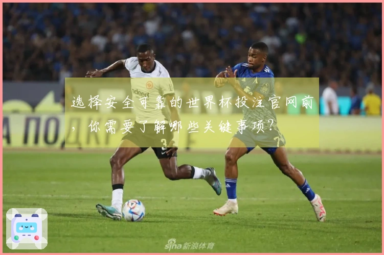 选择安全可靠的世界杯投注官网前，你需要了解哪些关键事项？