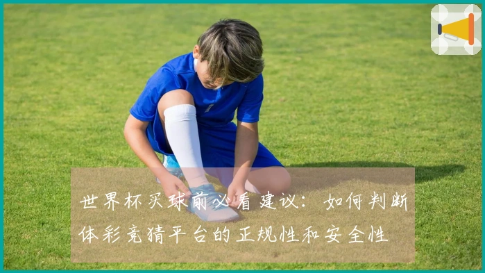 世界杯买球前必看建议：如何判断体彩竞猜平台的正规性和安全性
