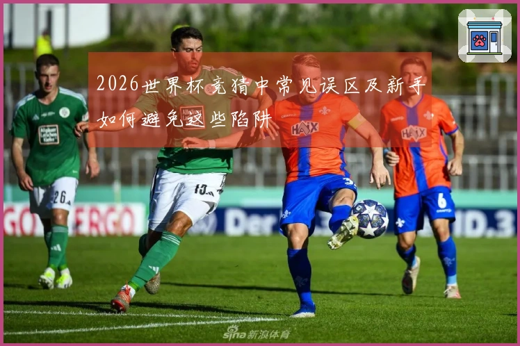 2026世界杯竞猜中常见误区及新手如何避免这些陷阱