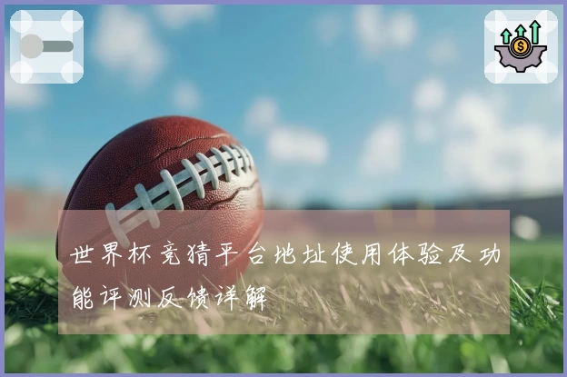 世界杯竞猜平台地址使用体验及功能评测反馈详解