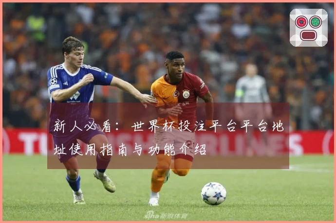 新人必看：世界杯投注平台平台地址使用指南与功能介绍