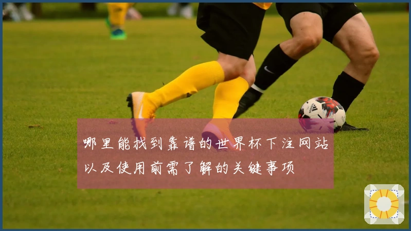 哪里能找到靠谱的世界杯下注网站以及使用前需了解的关键事项