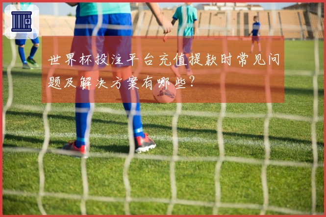 世界杯投注平台充值提款时常见问题及解决方案有哪些？