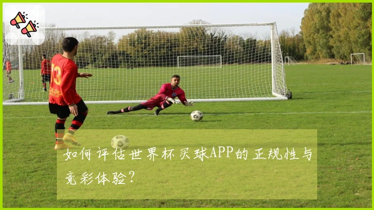 如何评估世界杯买球APP的正规性与竞彩体验？