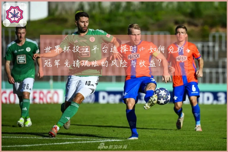 世界杯投注平台选择时，如何分析冠军竞猜玩法的风险与收益？