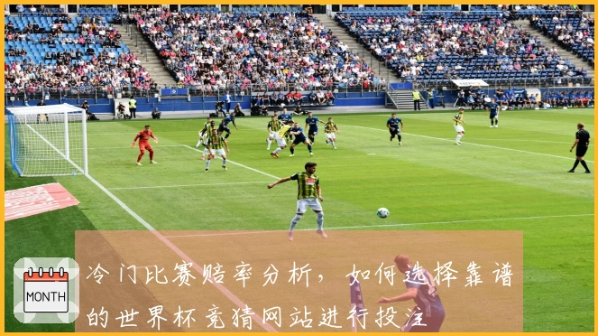 冷门比赛赔率分析,如何选择靠谱的世界杯竞猜网站进行投注
