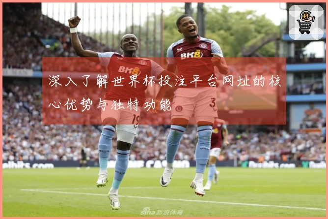 深入了解世界杯投注平台网址的核心优势与独特功能