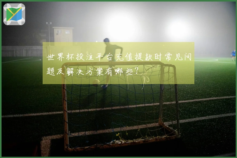 世界杯投注平台充值提款时常见问题及解决方案有哪些？