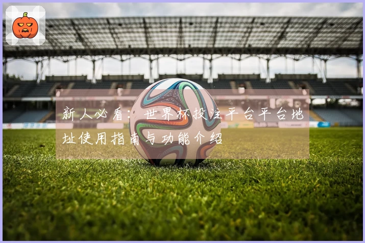 新人必看：世界杯投注平台平台地址使用指南与功能介绍