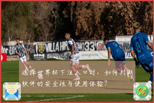 选择世界杯下注入口时，如何判断软件的安全性与使用体验？