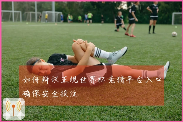 如何辨识正规世界杯竞猜平台入口确保安全投注