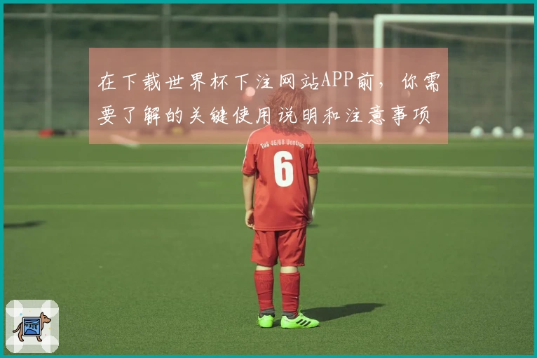 在下载世界杯下注网站APP前，你需要了解的关键使用说明和注意事项
