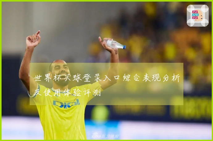 世界杯买球登录入口综合表现分析及使用体验评测