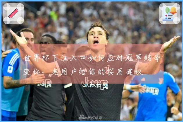 世界杯下注入口如何应对冠军赔率变化，老用户给你的实用建议